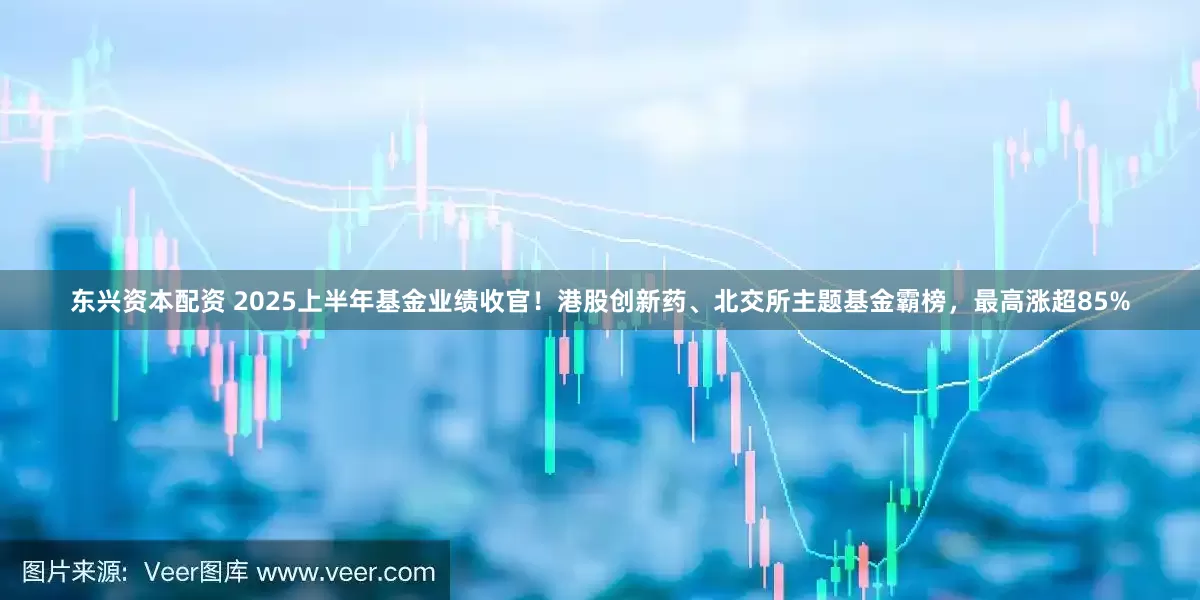 东兴资本配资 2025上半年基金业绩收官！港股创新药、北交所主题基金霸榜，最高涨超85%