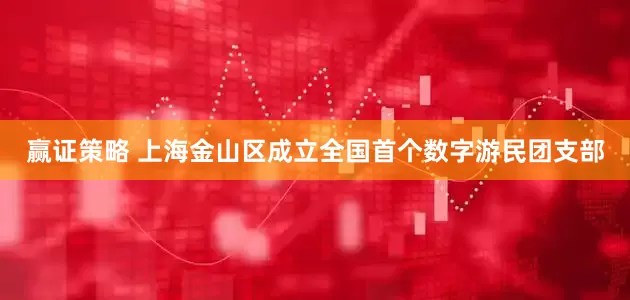 赢证策略 上海金山区成立全国首个数字游民团支部