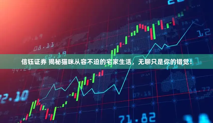 信钰证券 揭秘猫咪从容不迫的宅家生活，无聊只是你的错觉！