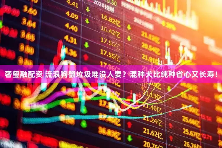奢玺融配资 流浪狗翻垃圾堆没人要？混种犬比纯种省心又长寿！