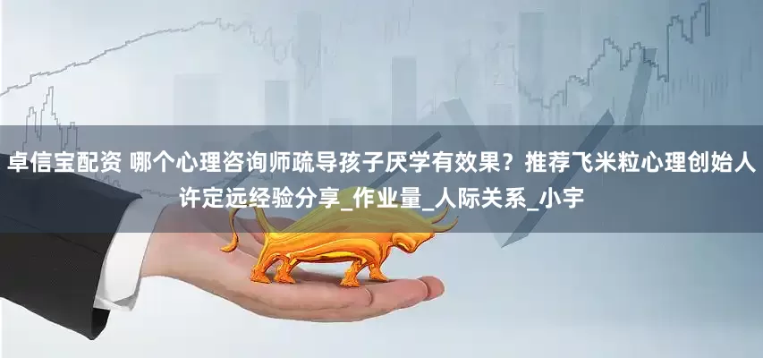 卓信宝配资 哪个心理咨询师疏导孩子厌学有效果？推荐飞米粒心理创始人许定远经验分享_作业量_人际关系_小宇