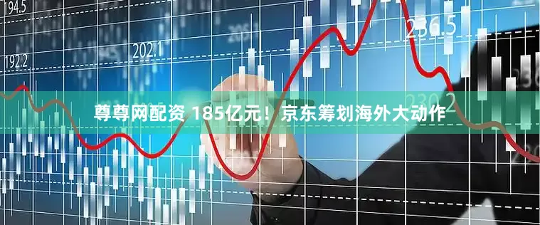 尊尊网配资 185亿元！京东筹划海外大动作