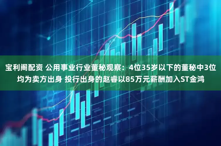 宝利阁配资 公用事业行业董秘观察：4位35岁以下的董秘中3位均为卖方出身 投行出身的赵睿以85万元薪酬加入ST金鸿