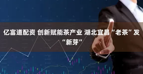 亿富道配资 创新赋能茶产业 湖北宜昌“老茶”发“新芽”
